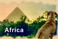 Africa